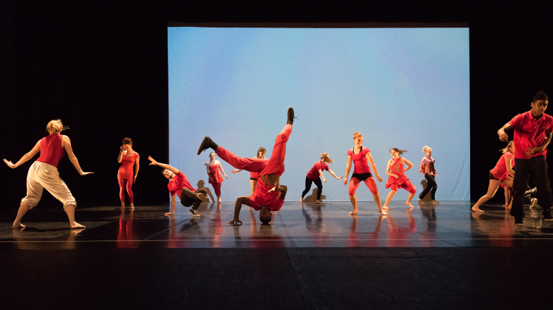 Danseurs ?David VENIER - Universit Jean Moulin Lyon 3